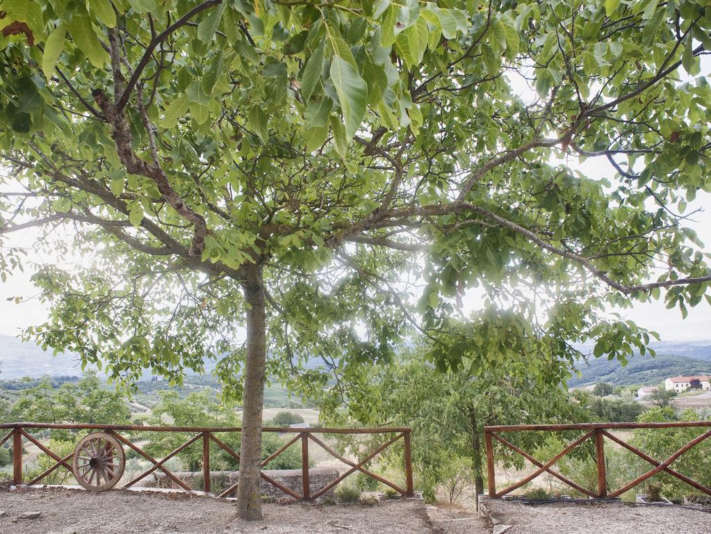 فيلا Capolonaفي Casa Vacanze Toscana Il Puggio الغرفة الصورة